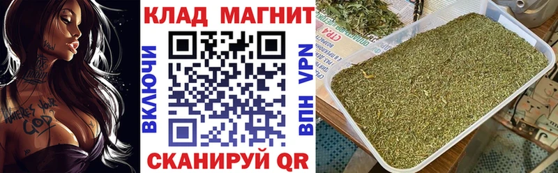 Что такое Гаджиево Псилоцибиновые грибы  КОКАИН  Гашиш  APVP  МЕФ  Канабис 