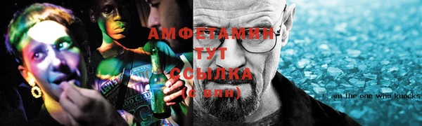 стаф Медногорск