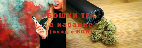 стаф Медногорск