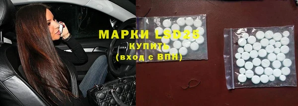 стаф Медногорск