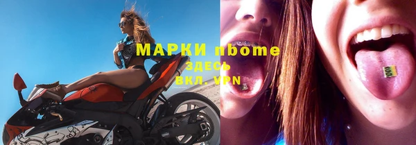 стаф Медногорск