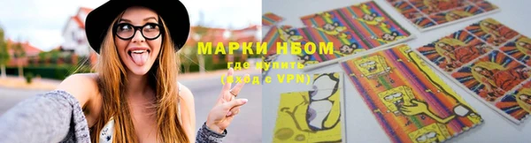 стаф Медногорск