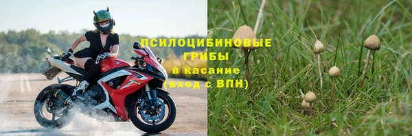 прущие крисы Мегион