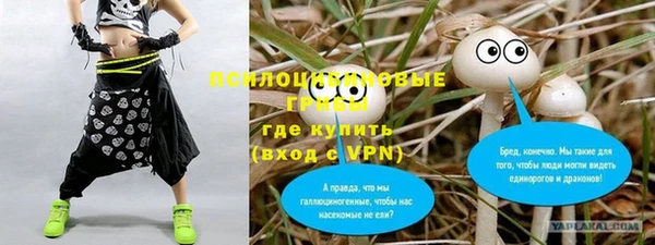 Альфа ПВП Медвежьегорск
