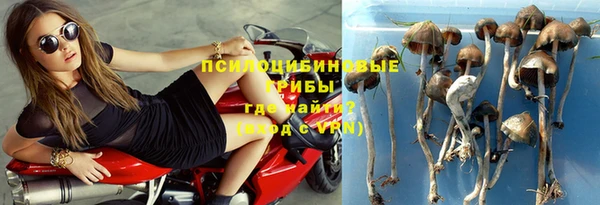 прущие крисы Мегион
